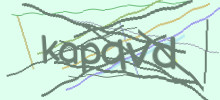 Проверочный код
